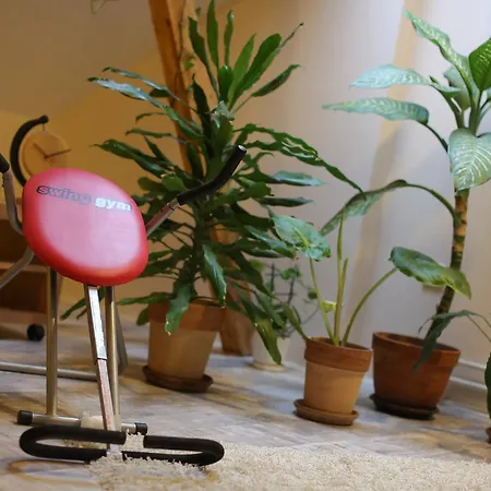 Magic Apartment
