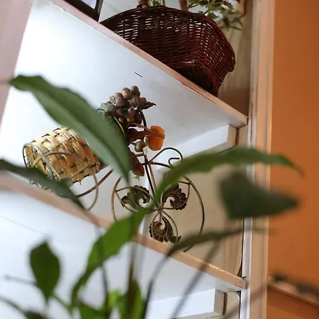 Magic Apartment